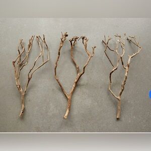 Natural Tea Tree Branches • Set of 12  Branches